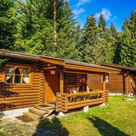 Villa Yagoda Borovets Exterior foto